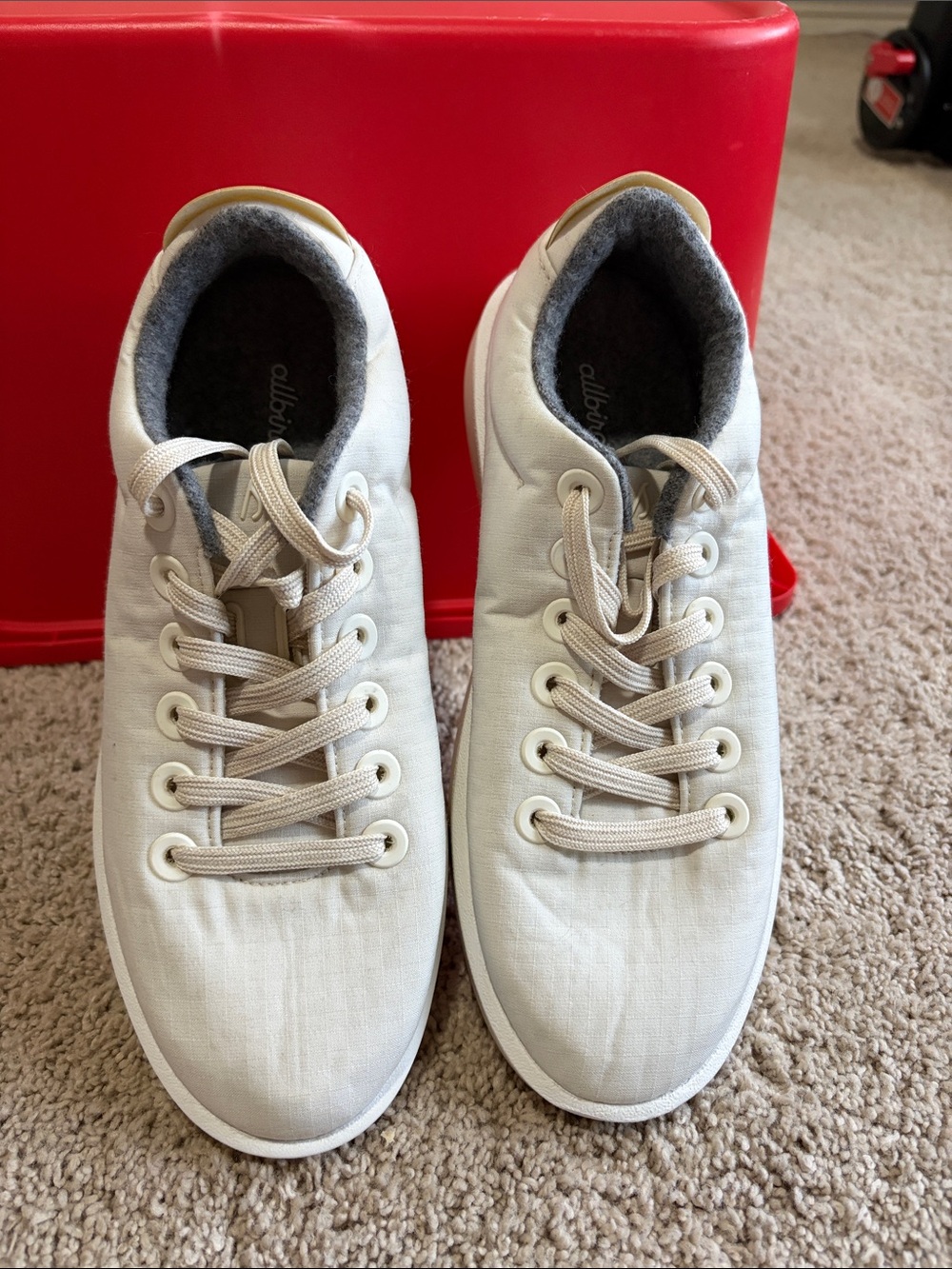 Allbirds Natural Wool Runner - Beige